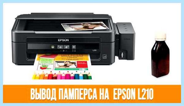 Впитывающая прокладка epson l210