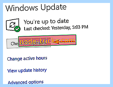 Временный профиль windows