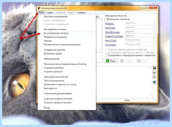Все пропало с рабочего стола windows 7