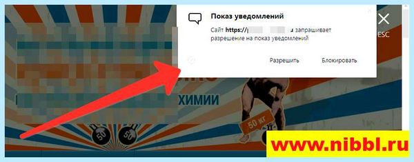 Всплывает окно с рекламой как убрать