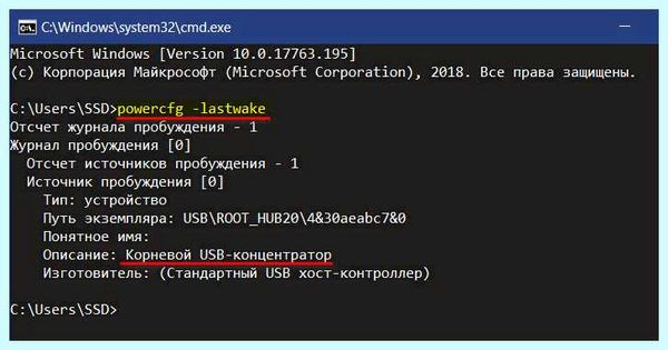 Выводит из спящего режима