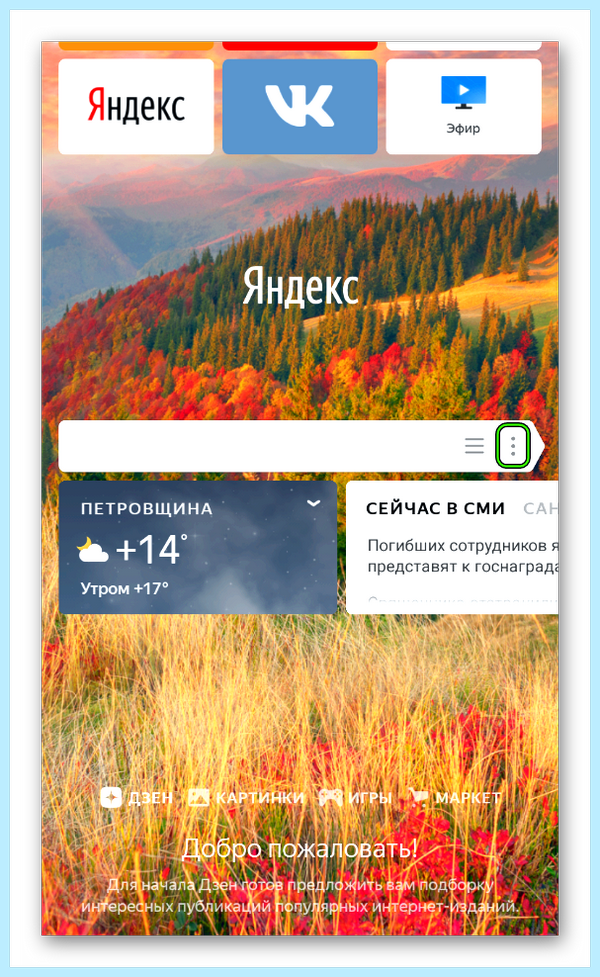 Где в яндексе adblock
