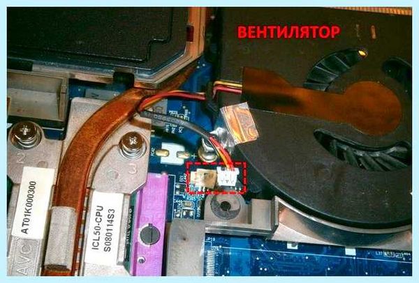 Где в ноутбуке стоит видеокарта