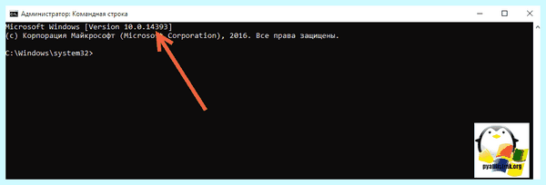 Где посмотреть windows (посмотреть, windows, узнать версию, Windows Windows, Windows Windows Windows) Где посмотреть windows