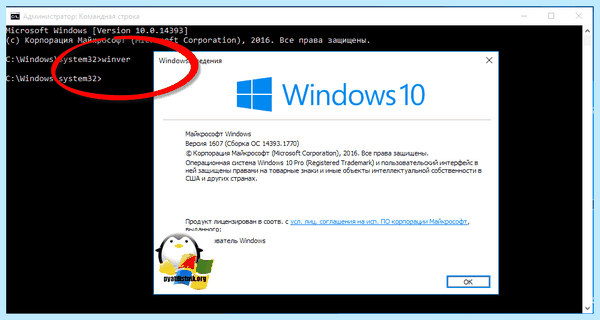 Где посмотреть windows