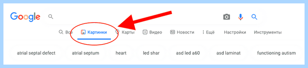 Дата регистрации в вк по ссылке (дата, регистрация, ссылка, создана страница, Дата регистрации) Дата регистрации в вк по ссылке