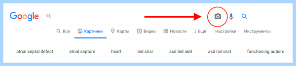 Дата регистрации в вк по ссылке (дата, регистрация, ссылка, создана страница, Дата регистрации) Дата регистрации в вк по ссылке