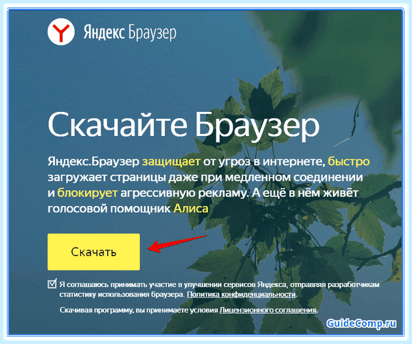 Дзен включить в браузере