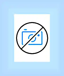 Более 90 процентов
