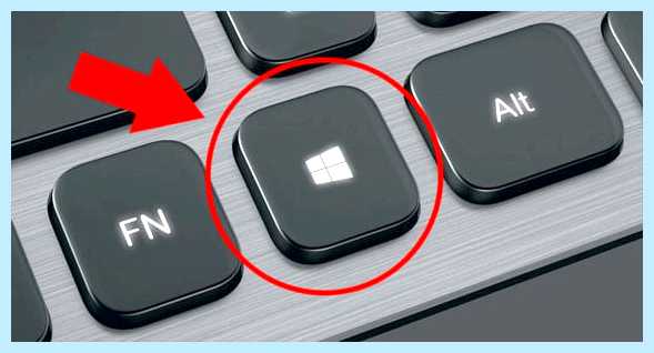 Windows 10 окно на весь экран (windows, окно, весь, экран, весь экран, помощью клавиатуры) Windows 10 окно на весь экран