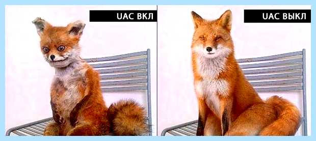 Windows 10 отключить uac (windows, отключить, учетных записей, контроля учетных, групповой политики) Windows 10 отключить uac