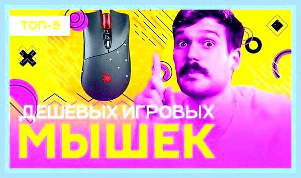 Бюджетные игровые мышки () Бюджетные игровые мышки