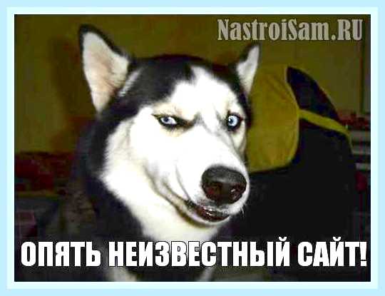 В браузере открывается реклама () В браузере открывается реклама