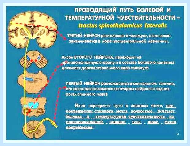 В каком положении устанавливается