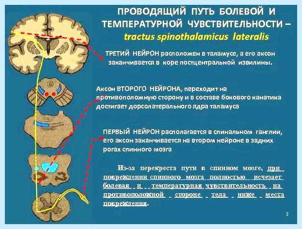 В каком положении устанавливается том, что крепления первой части