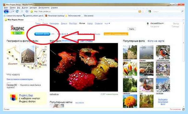 Добавить яндекс в хром
