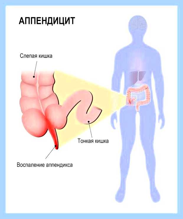 В правом нижнем