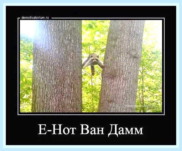Ван нот что это