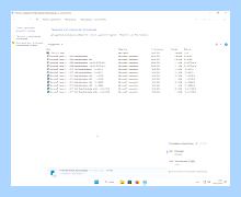 Windows 11 vl