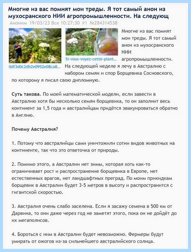 Windows 7 долго загружается (windows, долгий, загружать, оперативной памяти, операционной системы, системный блок) Windows 7 долго загружается
