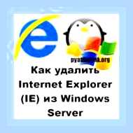Версия internet explorer в windows 10