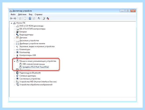Windows 7 не работает тачпад