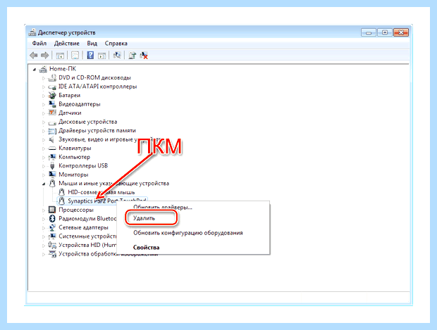 Windows 7 не работает тачпад
