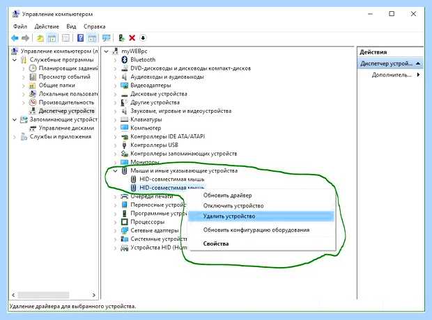 Windows 7 не работает тачпад