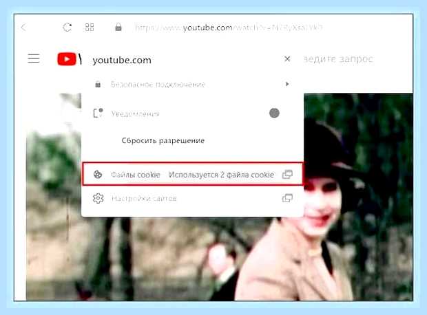 Видео стало тормозить