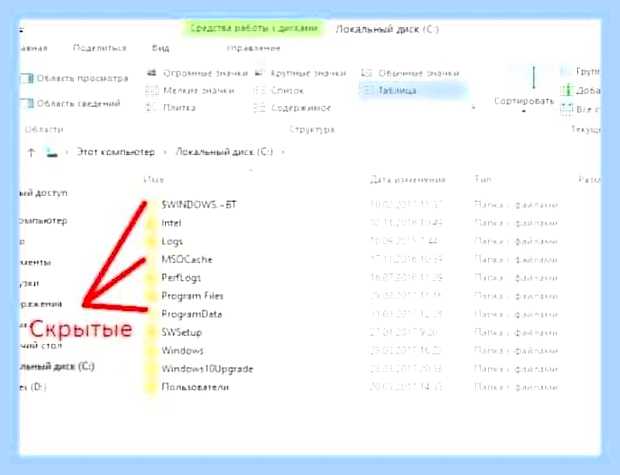 Вин 10 показать скрытые файлы и папки