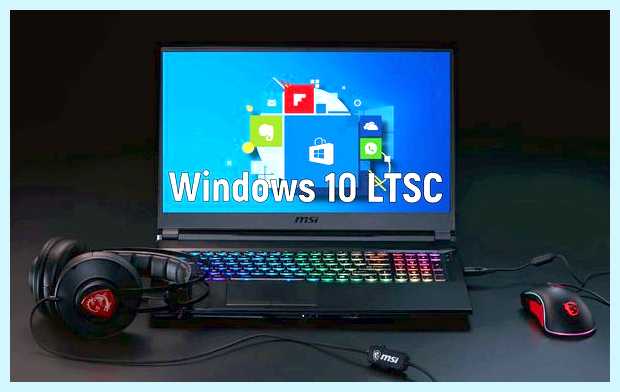 Windows ltsc что это
