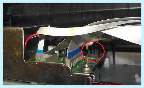 Epson l132 замена памперса