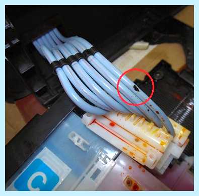 Epson l210 чистка (epson, l210, чистка, Epson L800, печатающей головки) Epson l210 чистка
