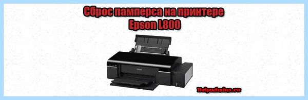 Epson l800 памперс