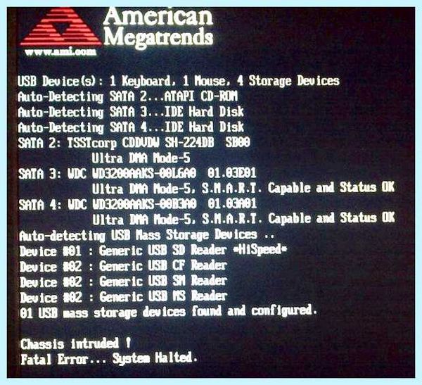 Error system halted