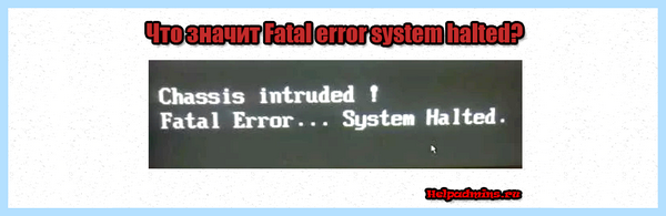 Error system halted
