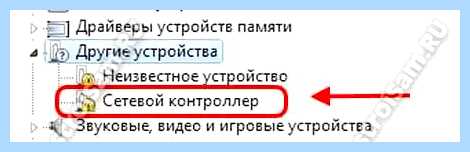Ethernet controller что это (ethernet, controller, компьютерного компонента, сетевую карту, витой пары, материнскую плату) Ethernet controller что это