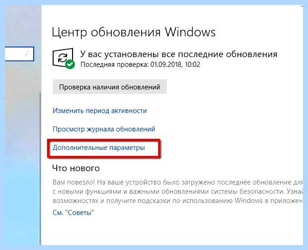 Windows update что это за программа (windows, update, программа, Windows Update) Windows update что это за программа