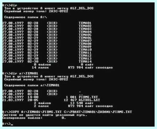 Free dos или windows