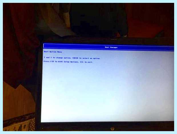 Windows не видит жесткий диск hp