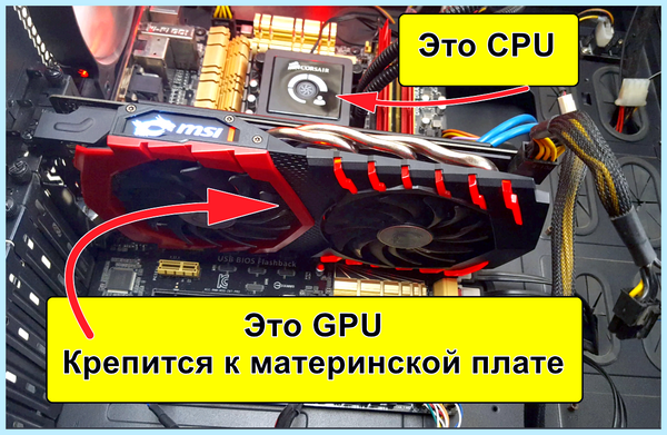 Gpu что это в компьютере
