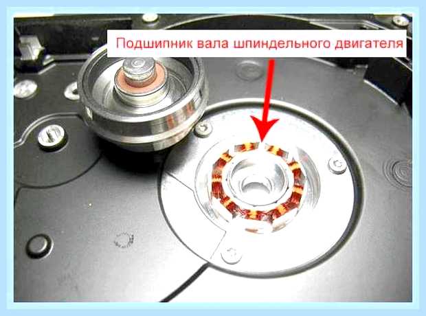 Винчестер не запускается
