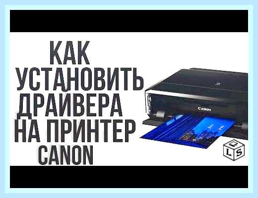 Виндовс не видит принтер canon