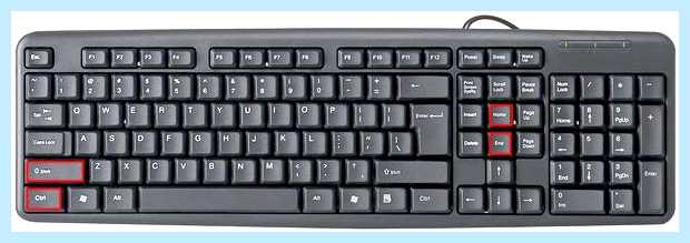 Word как выделить все