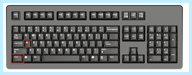 Word как выделить все
