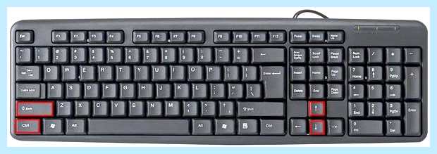 Word как выделить все