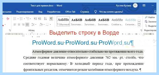 Word как выделить все