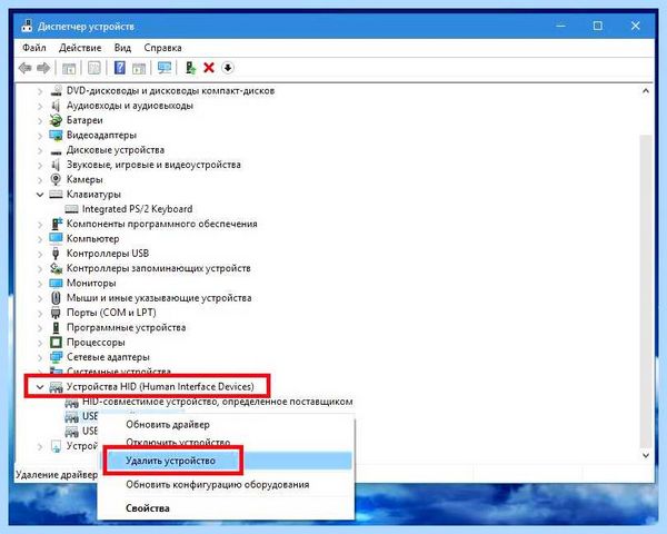 Hid driver что это