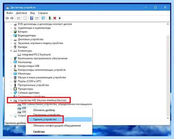 Hid устройства что это