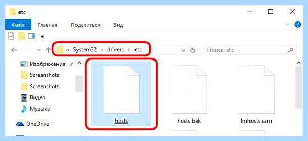 Host файл windows 10 путь